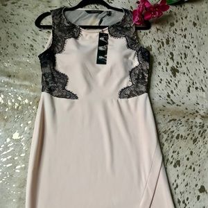NWT Gorgeous Nude & Black lace Dress